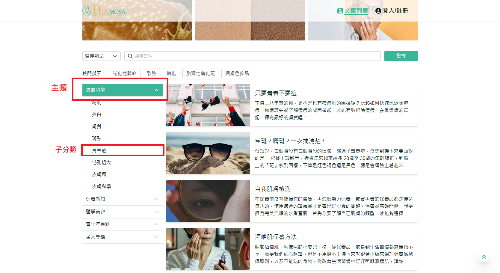 按分類搜尋文章